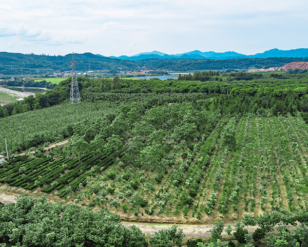 1604718737687487.jpg y9.jpg