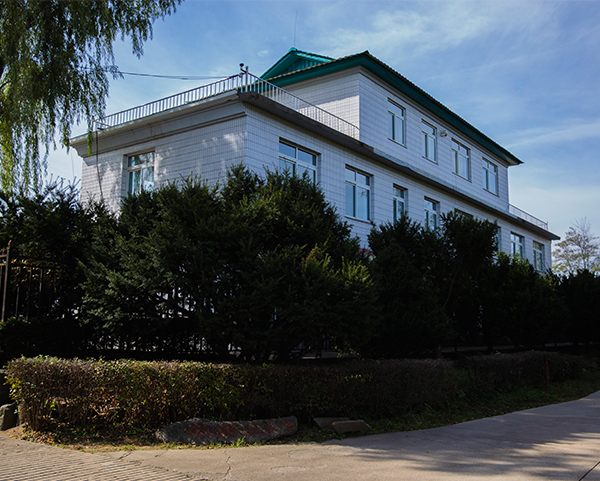 红豆杉苗木基地