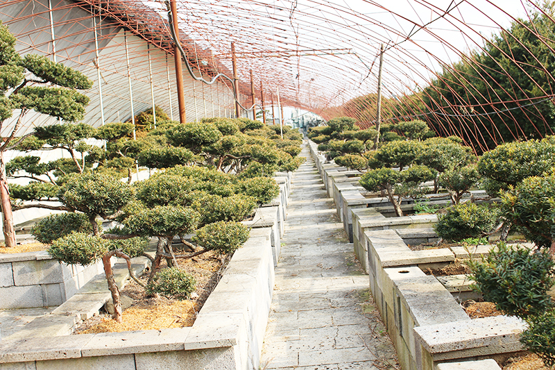 1732003289645071.jpg IMG_4031.jpg