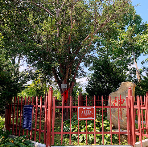 1773277071114493.jpg 557f86fe911b138088d714fb9b07f73.jpg